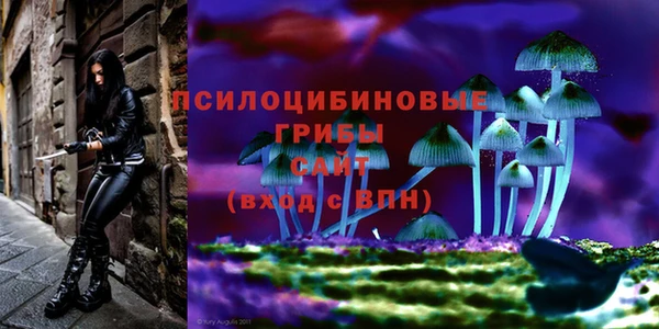 spice Волосово