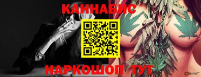 стаф Кимры
