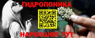 стаф Кимры