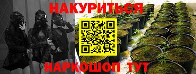 мяу мяу мука Кингисепп