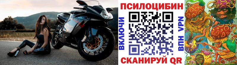 Галлюциногенные грибы Psilocybe Мончегорск