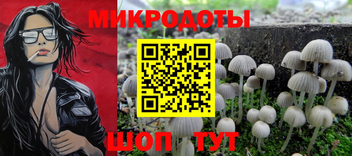 Галлюциногенные грибы GOLDEN TEACHER Мончегорск